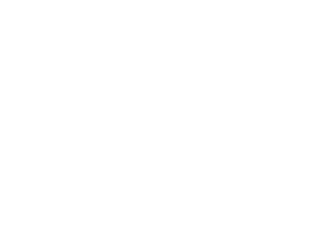 Logo OTP