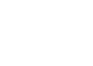 Logo Valiant Esport
